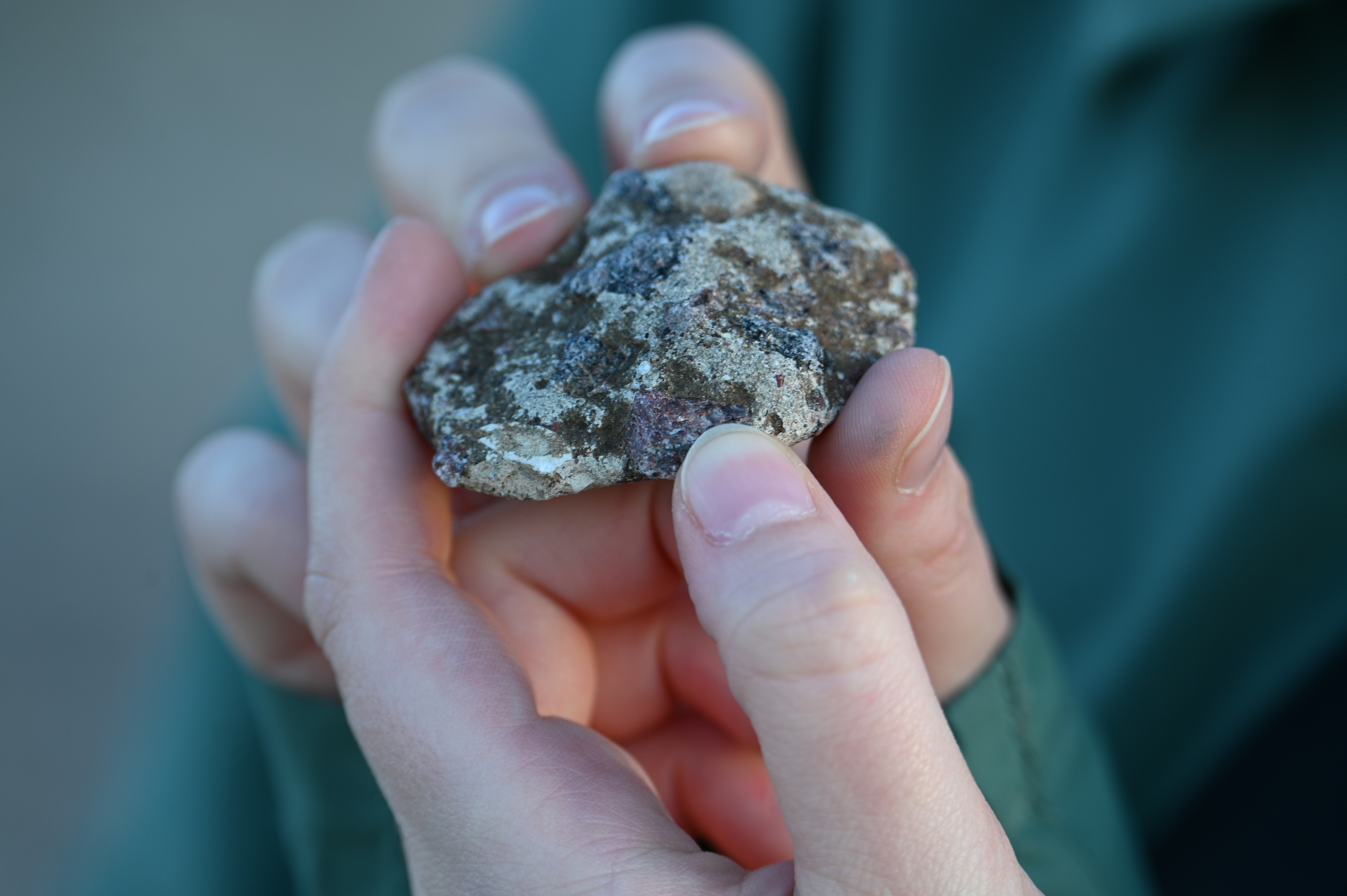 2025/10/18 - walk/DSC_0248.JPG